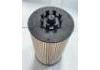 Fuel Filter:PU10019z