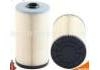 Fuel Filter:CF-063-2 8980924811