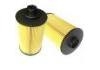 Fuel Filter:13055724