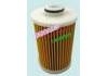 Fuel Filter:98165375