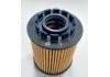 Filtro de combustible Fuel Filter:1017110XEN01
